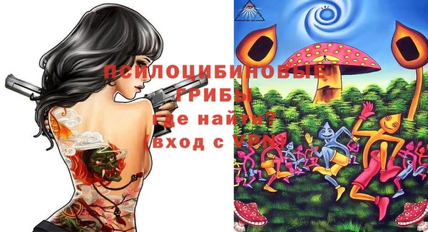 МДПВ Арсеньев