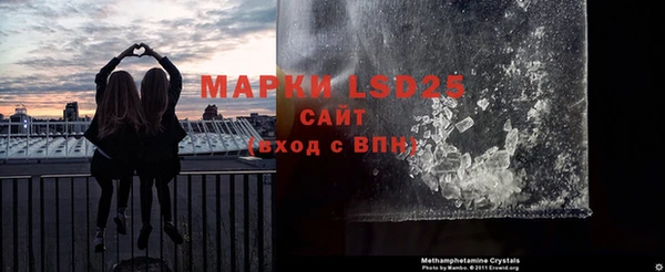 ешки Аркадак
